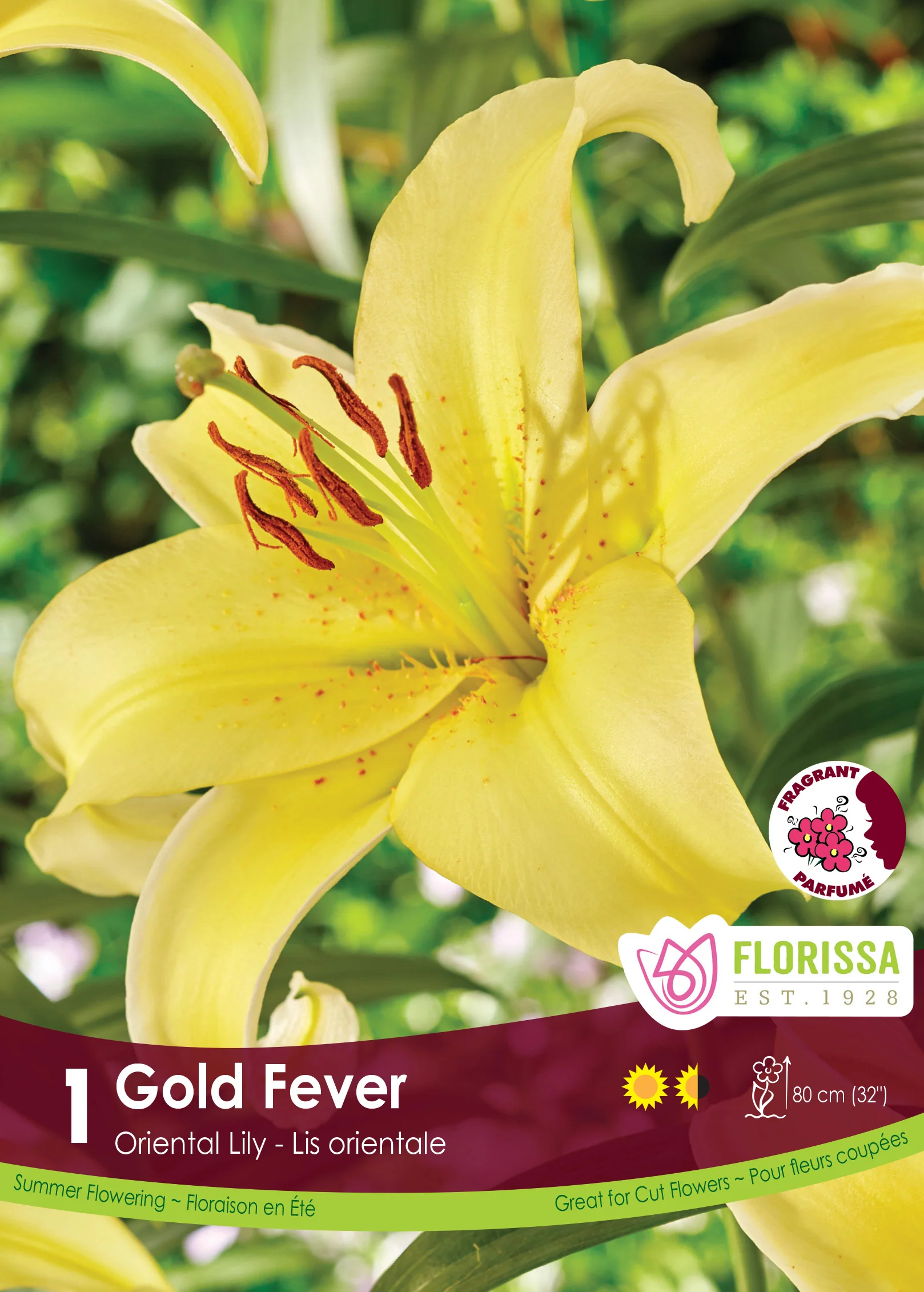 New Lilies